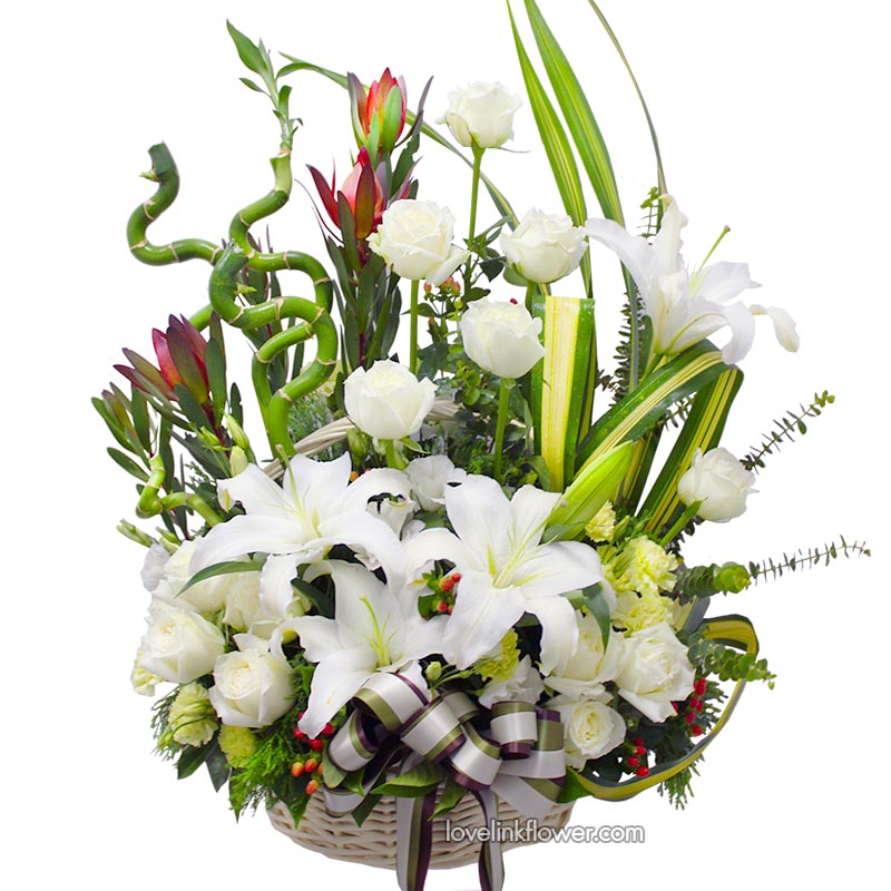 กระเช้าดอกไม้ ส่ง รัชดา และทั่วกรุงเทพ กระเช้าดอกไม้ B 31     กระเช้าอวยพรวันเกิด และในโอกาสต่างๆ